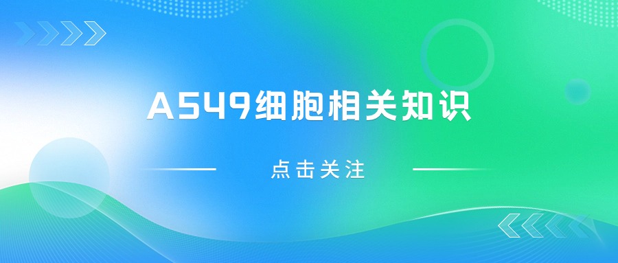 關于A549細胞，您不得不知道的一些操作